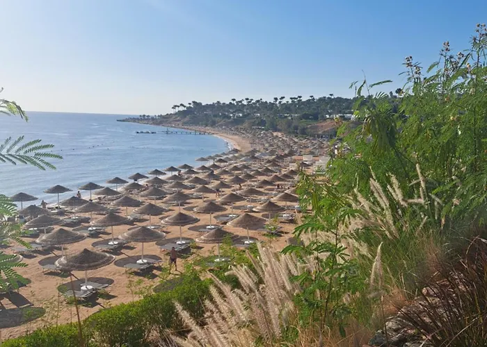 Domina Coral Bay Private Flat